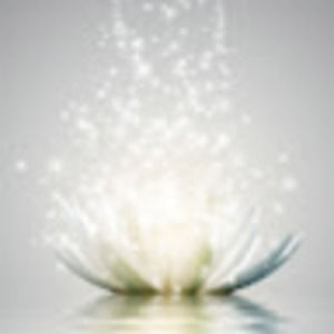 Meet your Posher, Lea